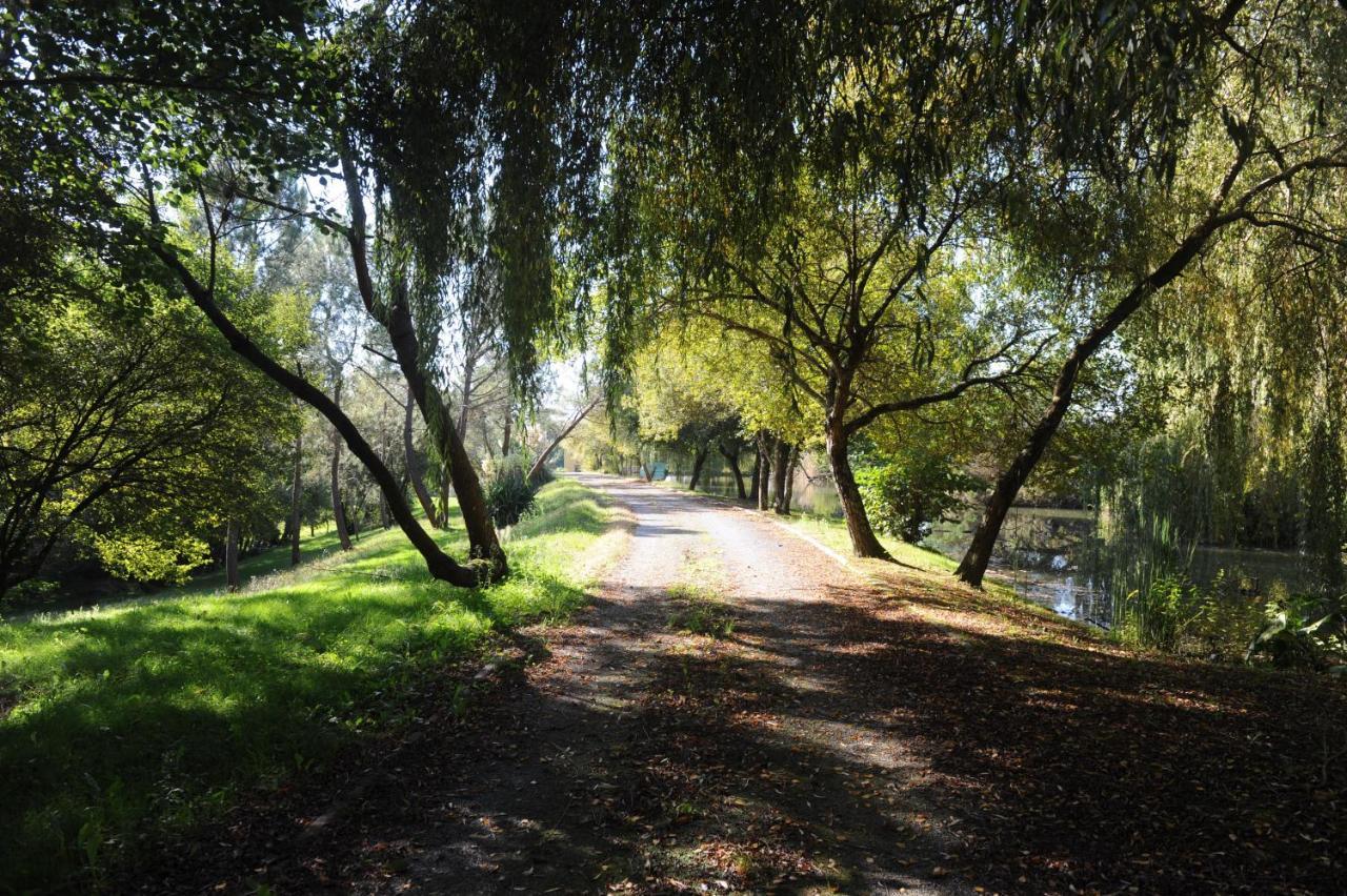 Вилла La Marviniere Saint-Bonnet-sur-Gironde Экстерьер фото